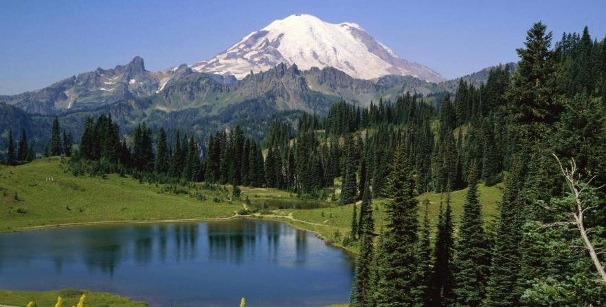 浙江华乐电子有限公司轮播图3